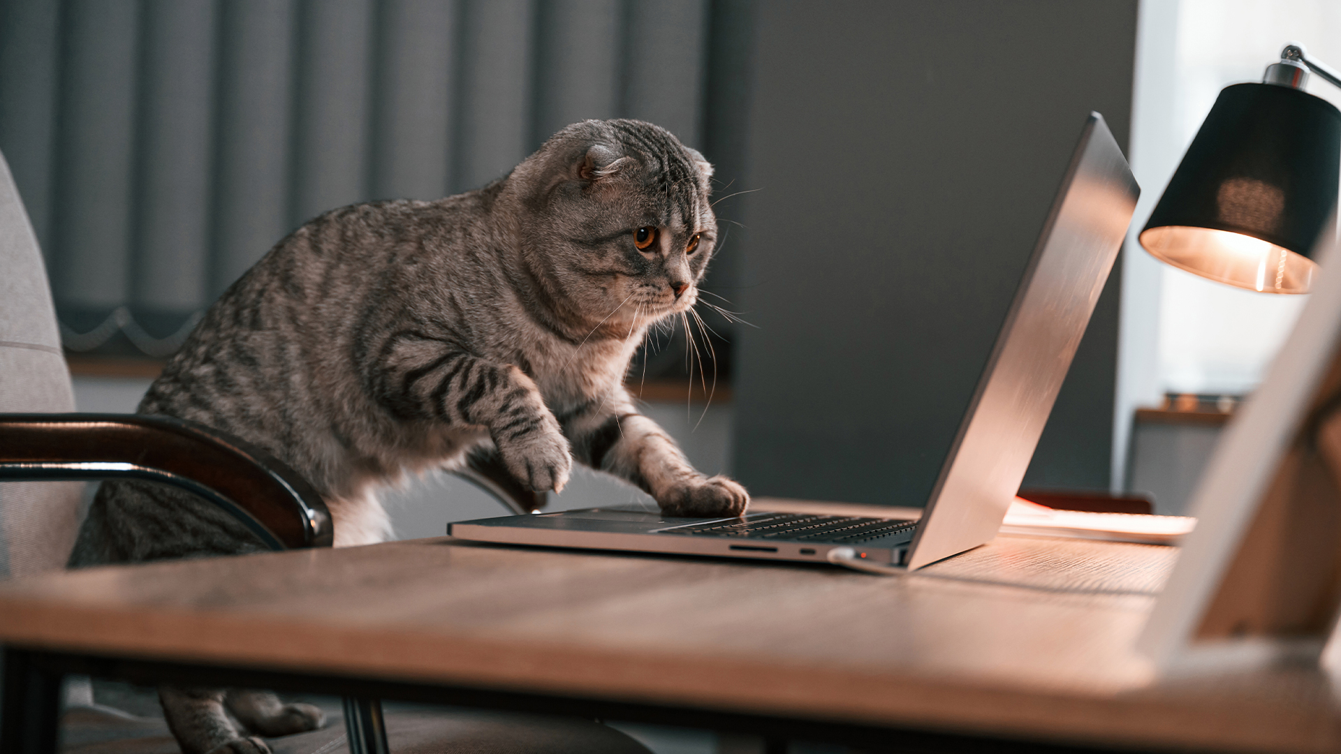 400 Cigar-Chomping Fat Cats Aren’t Enough Anymore