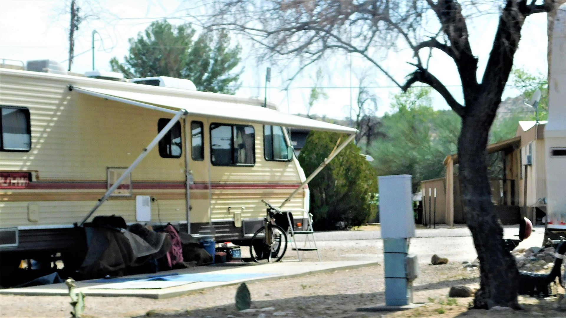 Better Call Saul!
