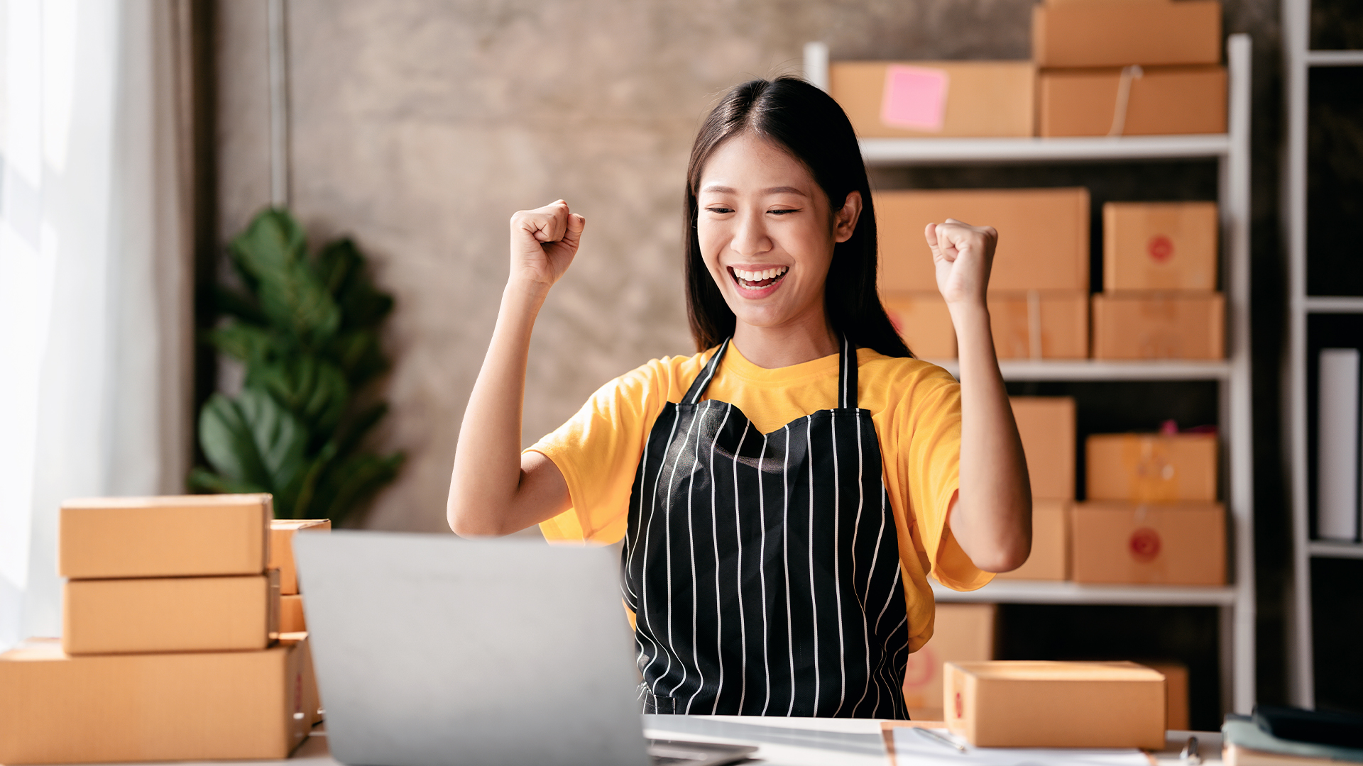 Charlotte Small Businesses Rejoice! Key Provision in Health Care Act Repealed
