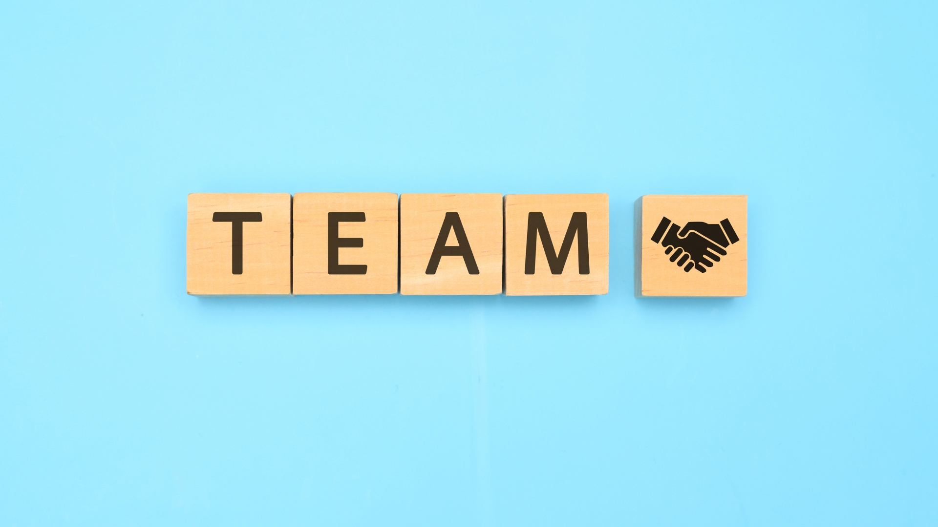 Meet Our Team