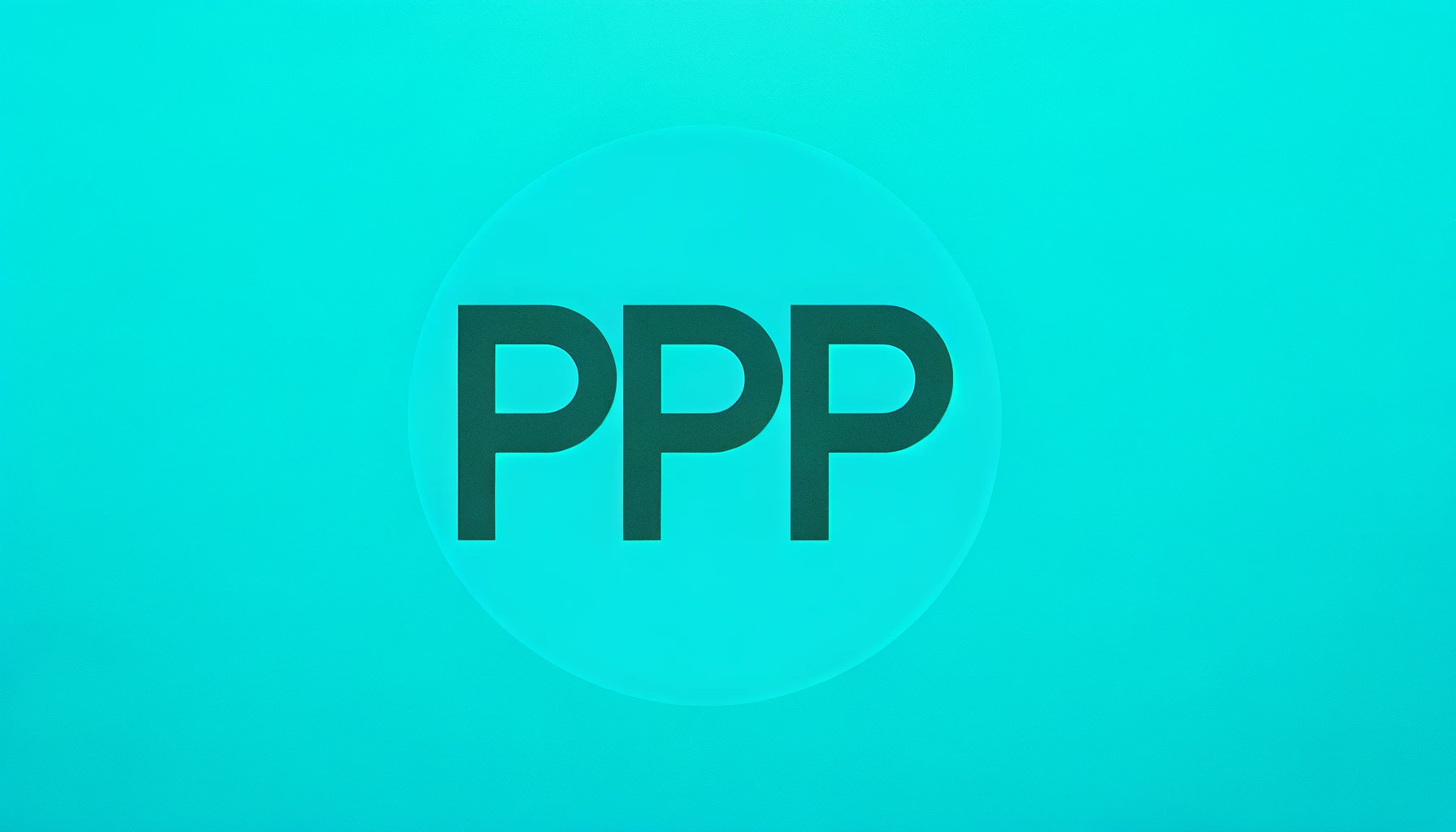 Payroll Protection Program (PPP) for Schedule C’s