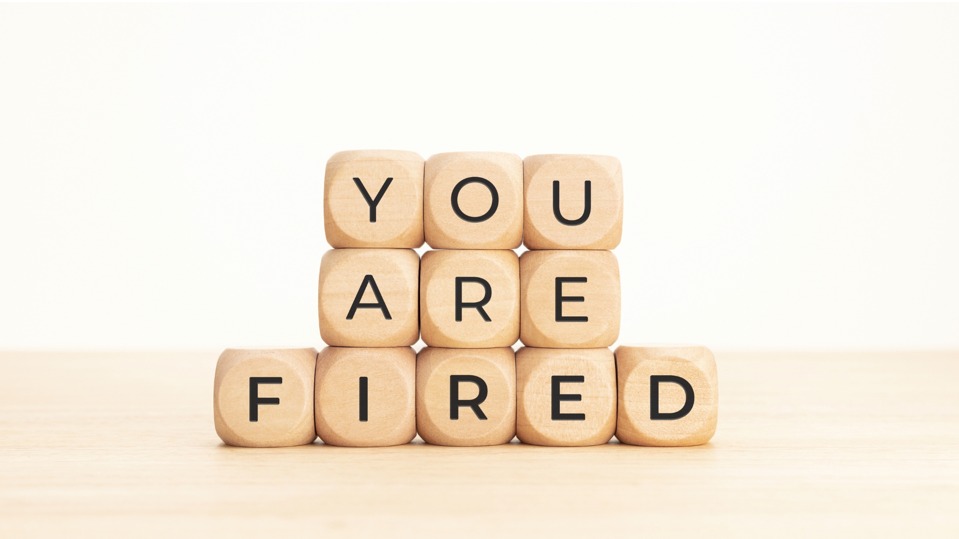 Tax Apprentice ~ You’re Fired!