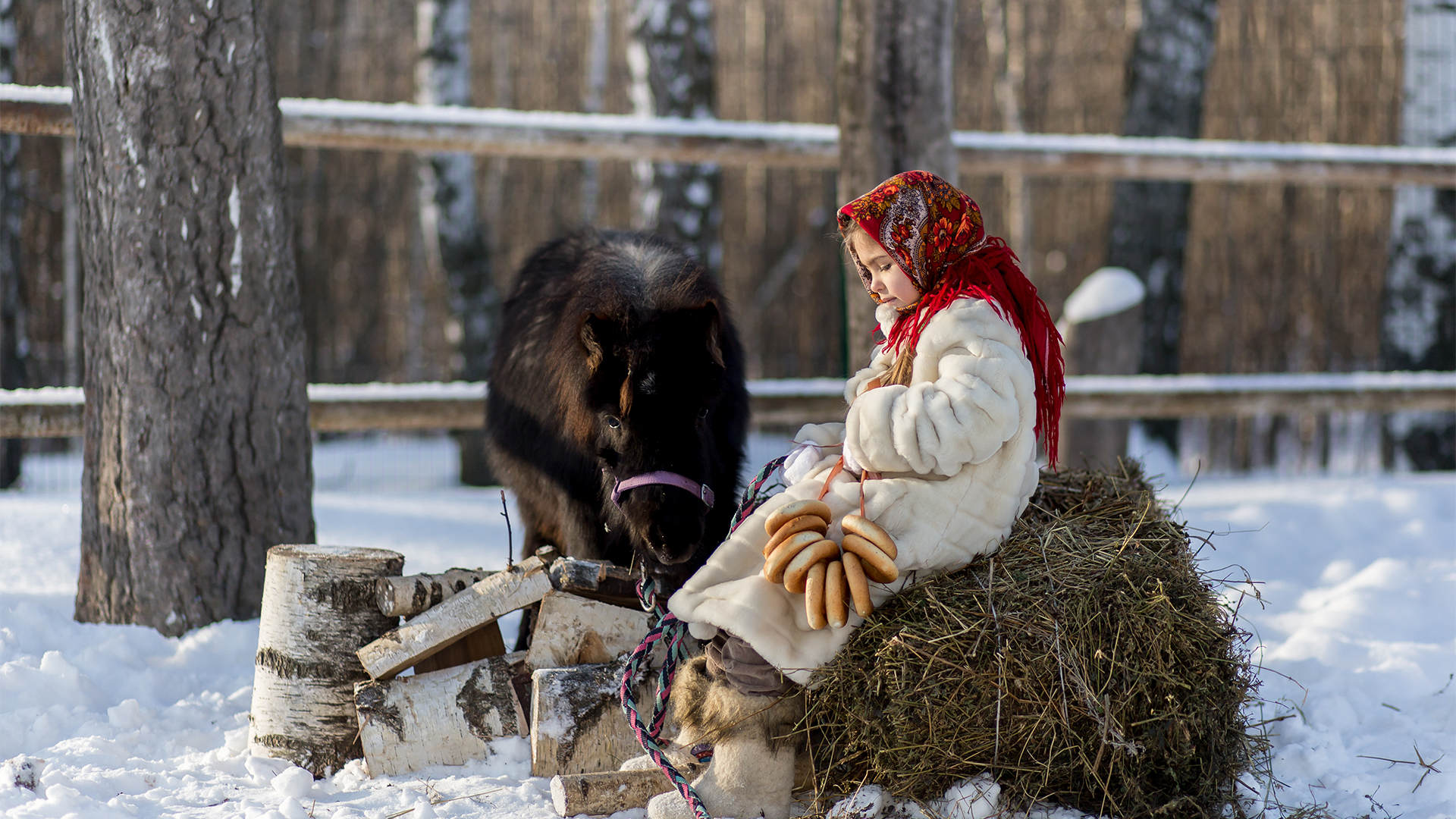 The Great Eskimo Tax Scam