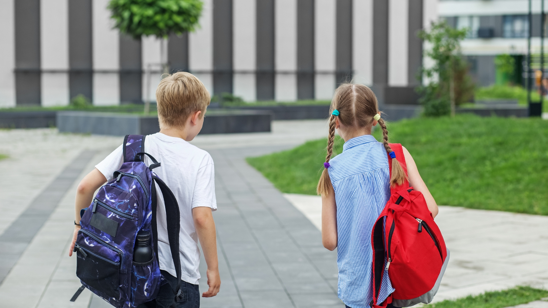Update on The Child Tax Credit Letters from The IRS! February 2022